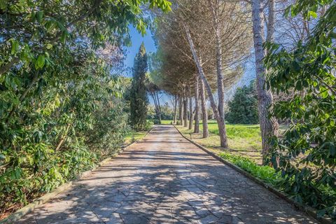 Villa en Jesolo, Venice, Jesolo - € 1.300.000 | Ref: ILV92588-1392558 - photo 15