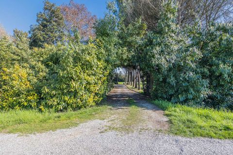 Villa en Jesolo, Venice, Jesolo - € 1.300.000 | Ref: ILV92588-1392558 - photo 30