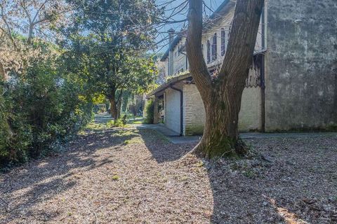 Villa en Jesolo, Venice, Jesolo - € 1.300.000 | Ref: ILV92588-1392558 - photo 49