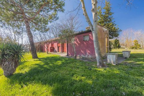 Villa a Rosolina, Rovigo, Rosolina - € 850.000 | Ref: ILV92592-1392736 - foto 4