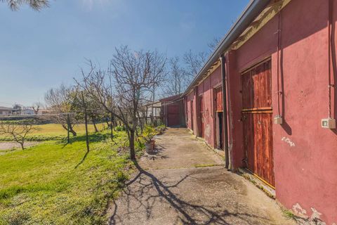 Villa a Rosolina, Rovigo, Rosolina - € 850.000 | Ref: ILV92592-1392736 - foto 5