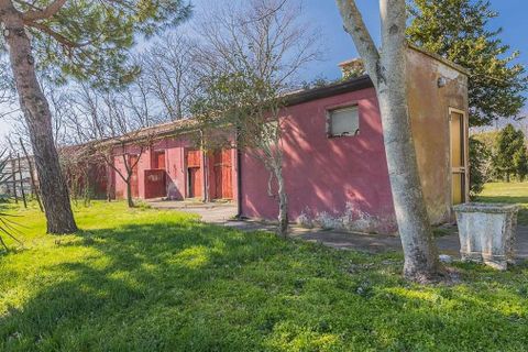 Villa a Rosolina, Rovigo, Rosolina - € 850.000 | Ref: ILV92592-1392736 - foto 43