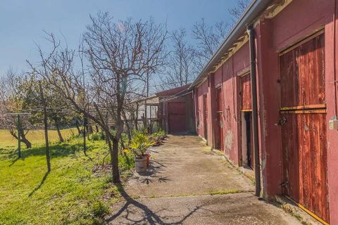 Villa a Rosolina, Rovigo, Rosolina - € 850.000 | Ref: ILV92592-1392736 - foto 44