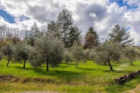 Farm hus i Chiusi della Verna, Arezzo, Chiusi della Verna - € 1.400.000 | Ref: ILV92654-1393617 - foto 27