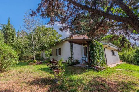 Landejendom i Santa Luce, Pisa, Santa Luce - € 1.380.000 | Ref: ILV92657-1393719 - foto 3