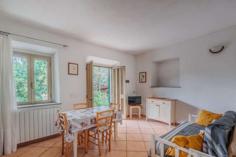 Landejendom i Santa Luce, Pisa, Santa Luce - € 1.380.000 | Ref: ILV92657-1393719 - foto 41