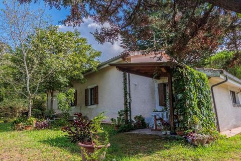 Landejendom i Santa Luce, Pisa, Santa Luce - € 1.380.000 | Ref: ILV92657-1393719 - foto 49