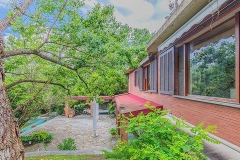 Villa em Collesalvetti, Livorno, Collesalvetti - € 1.300.000 | Ref: ILV92663-1393967 - foto 17