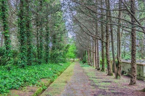 Villa em Collesalvetti, Livorno, Collesalvetti - € 1.300.000 | Ref: ILV92663-1393967 - foto 50