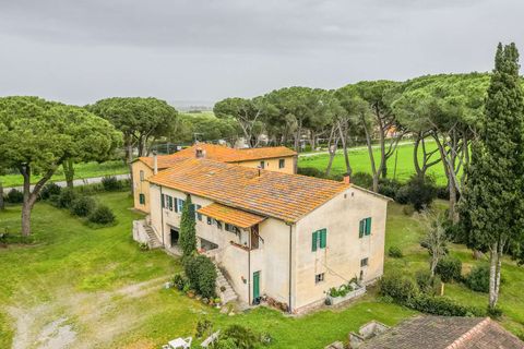 Masia a Grosseto, Grosseto, Grosseto - € 1.200.000 | Ref: ILV92688-1394324 - foto 2