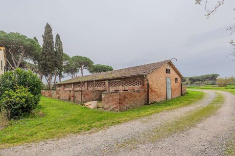 Masia a Grosseto, Grosseto, Grosseto - € 1.200.000 | Ref: ILV92688-1394324 - foto 9