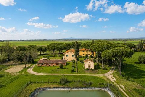 Masia a Grosseto, Grosseto, Grosseto - € 1.200.000 | Ref: ILV92688-1394324 - foto 20