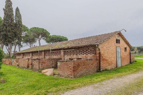 Masia a Grosseto, Grosseto, Grosseto - € 1.200.000 | Ref: ILV92688-1394324 - foto 44