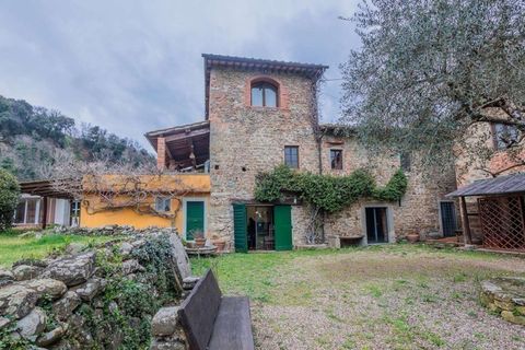 Landejendom i Terranuova Bracciolini, Arezzo, Terranuova Bracciolini - € 1.190.000 | Ref: ILV92696-1394375 - foto 5