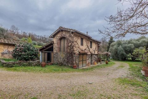 Landejendom i Terranuova Bracciolini, Arezzo, Terranuova Bracciolini - € 1.190.000 | Ref: ILV92696-1394375 - foto 10