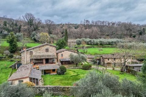 Landejendom i Terranuova Bracciolini, Arezzo, Terranuova Bracciolini - € 1.190.000 | Ref: ILV92696-1394375 - foto 17