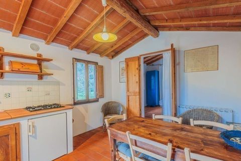 Landejendom i Terranuova Bracciolini, Arezzo, Terranuova Bracciolini - € 1.190.000 | Ref: ILV92696-1394375 - foto 18