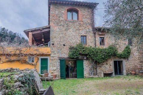 Landejendom i Terranuova Bracciolini, Arezzo, Terranuova Bracciolini - € 1.190.000 | Ref: ILV92696-1394375 - foto 34