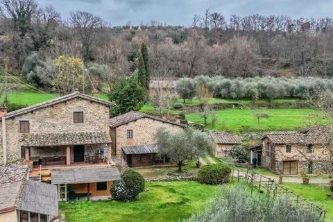 Landejendom i Terranuova Bracciolini, Arezzo, Terranuova Bracciolini - € 1.190.000 | Ref: ILV92696-1394375 - foto 46