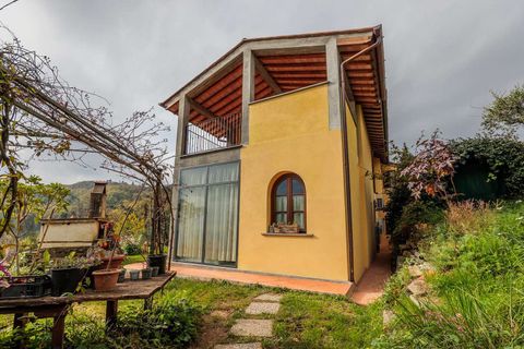 Farm hus i Buggiano, Pistoia, Buggiano - € 1.145.000 | Ref: ILV92710-1394477 - foto 10