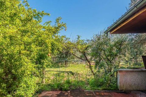 Villa i Altopascio, Lucca, Altopascio - € 1 100 000 | Ref: ILV92711-1394528 - foto 49