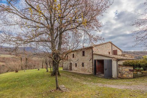 Farm hus i Pomezia, Rome, Pomezia - € 1.050.000 | Ref: ILV92715-1394681 - foto 28