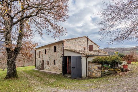 Farm hus i Pomezia, Rome, Pomezia - € 1.050.000 | Ref: ILV92715-1394681 - foto 29