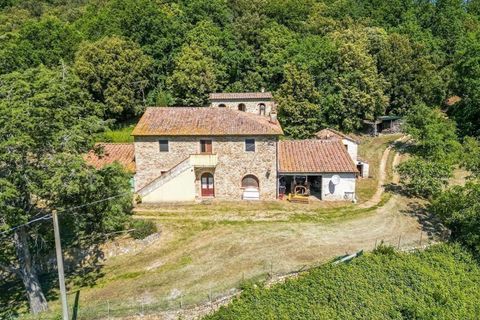 Masia a Pomarance, Pisa, Pomarance - € 990.000 | Ref: ILV92733-1394936 - foto 2
