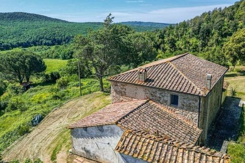 Masia a Pomarance, Pisa, Pomarance - € 990.000 | Ref: ILV92733-1394936 - foto 4
