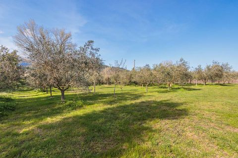 Villa i Vicopisano, Pisa, Vicopisano - € 930.000 | Ref: ILV92775-1395857 - foto 13