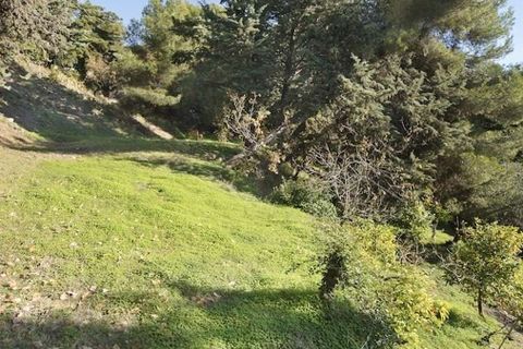 Villa i Alassio, Savona, Alassio - € 975.000 | Ref: ILV92803-1396261 - foto 19