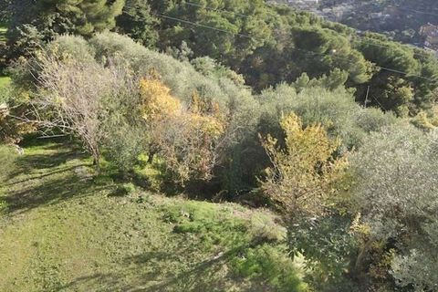 Villa i Alassio, Savona, Alassio - € 975.000 | Ref: ILV92803-1396261 - foto 28