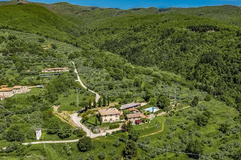 Farm hus i Reggello, Florence, Reggello - € 1.900.000 | Ref: ILV79198-1396471 - foto 21