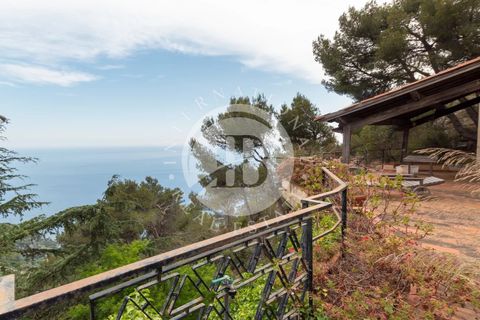 Villa i Ventimiglia, Imperia, Ventimiglia - € 1.750.000 | Ref: IB 871 - foto 4