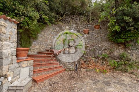 Villa i Ventimiglia, Imperia, Ventimiglia - € 1.750.000 | Ref: IB 871 - foto 7