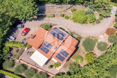 Villa a Noli, Savona, Noli - € 890.000 | Ref: IB 873 - foto 29