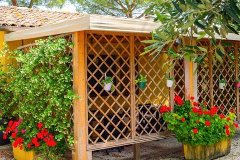 Villa a Osimo, Ancona, Osimo - € 790.000 | Ref: ILV92744-1397065 - foto 20