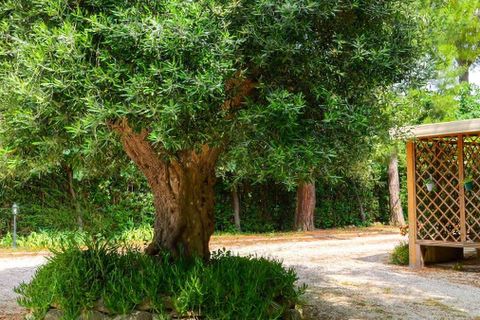 Villa a Osimo, Ancona, Osimo - € 790.000 | Ref: ILV92744-1397065 - foto 22