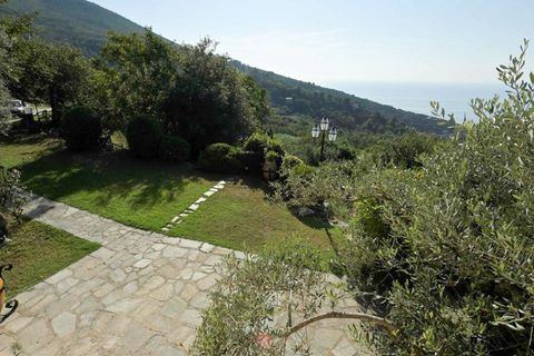 Villa i Alassio, Savona, Alassio - € 730.000 | Ref: ILV92807-1397095 - foto 16
