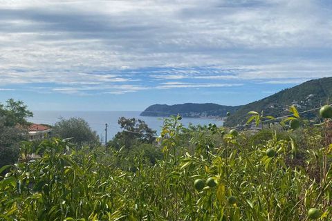 Villa i Alassio, Savona, Alassio - € 640.000 | Ref: ILV92810-1397159 - foto 10