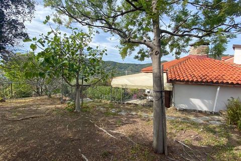 Villa i Alassio, Savona, Alassio - € 640.000 | Ref: ILV92810-1397159 - foto 12