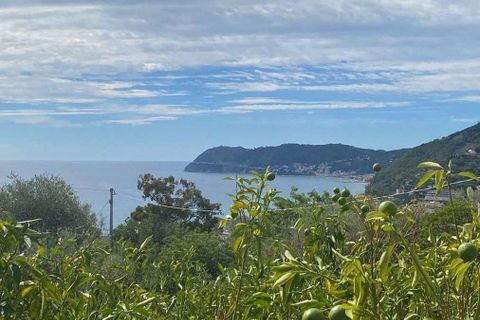 Villa i Alassio, Savona, Alassio - € 640.000 | Ref: ILV92810-1397159 - foto 22