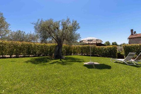 Farm hus i Scansano, Grosseto, Scansano - € 750.000 | Ref: ILV92828-1397417 - foto 4