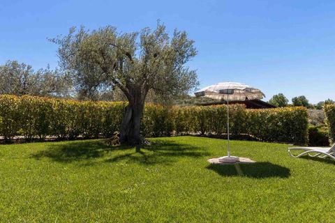 Farm hus i Scansano, Grosseto, Scansano - € 750.000 | Ref: ILV92828-1397417 - foto 27
