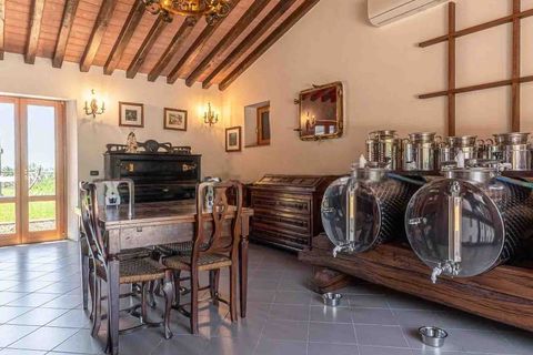 Farm hus i Scansano, Grosseto, Scansano - € 750.000 | Ref: ILV92828-1397417 - foto 34