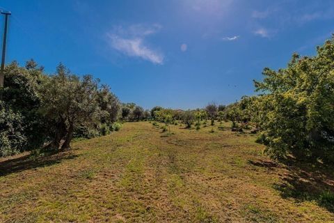 Villa i Pietrasanta, Lucca, Pietrasanta - € 900.000 | Ref: ILV92857-1397893 - foto 11