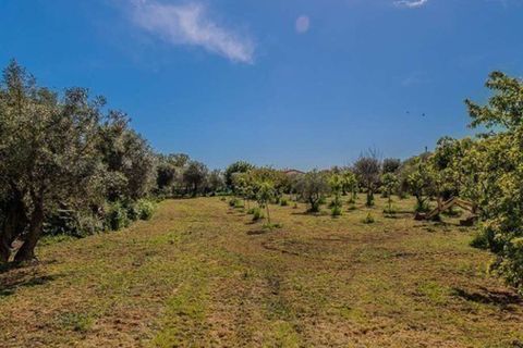 Villa i Pietrasanta, Lucca, Pietrasanta - € 900.000 | Ref: ILV92857-1397893 - foto 42