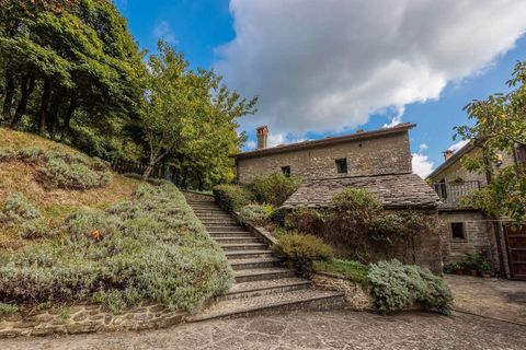 Farm hus i Serrapetrona, Macerata, Serrapetrona - € 800.000 | Ref: ILV92943-1399236 - foto 33