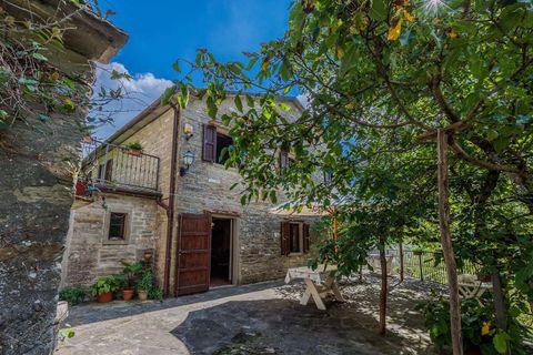 Farm hus i Serrapetrona, Macerata, Serrapetrona - € 800.000 | Ref: ILV92943-1399236 - foto 37