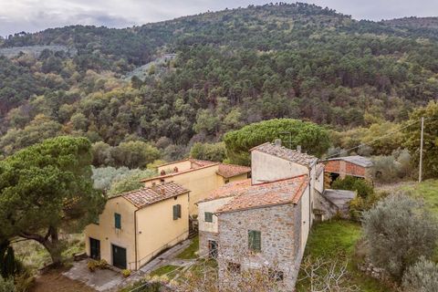 Farm hus i Loro Ciuffenna, Arezzo, Loro Ciuffenna - € 790.000 | Ref: ILV92964-1399431 - foto 3